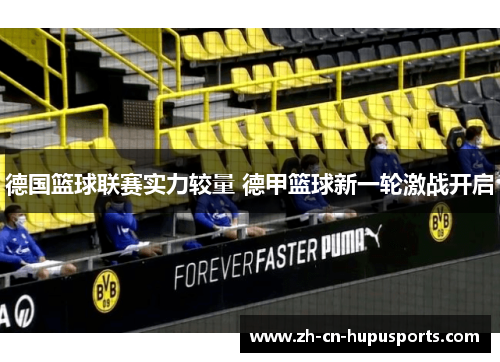 德国篮球联赛实力较量 德甲篮球新一轮激战开启